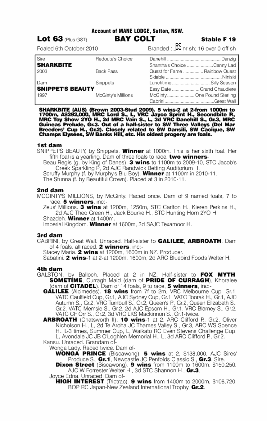 Sasenkile - pedigree