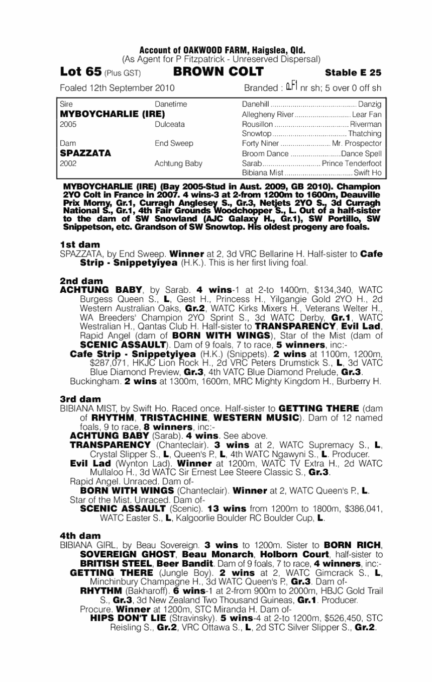 Myboycharlie (IRE) / Spazzata (AUS) - pedigree