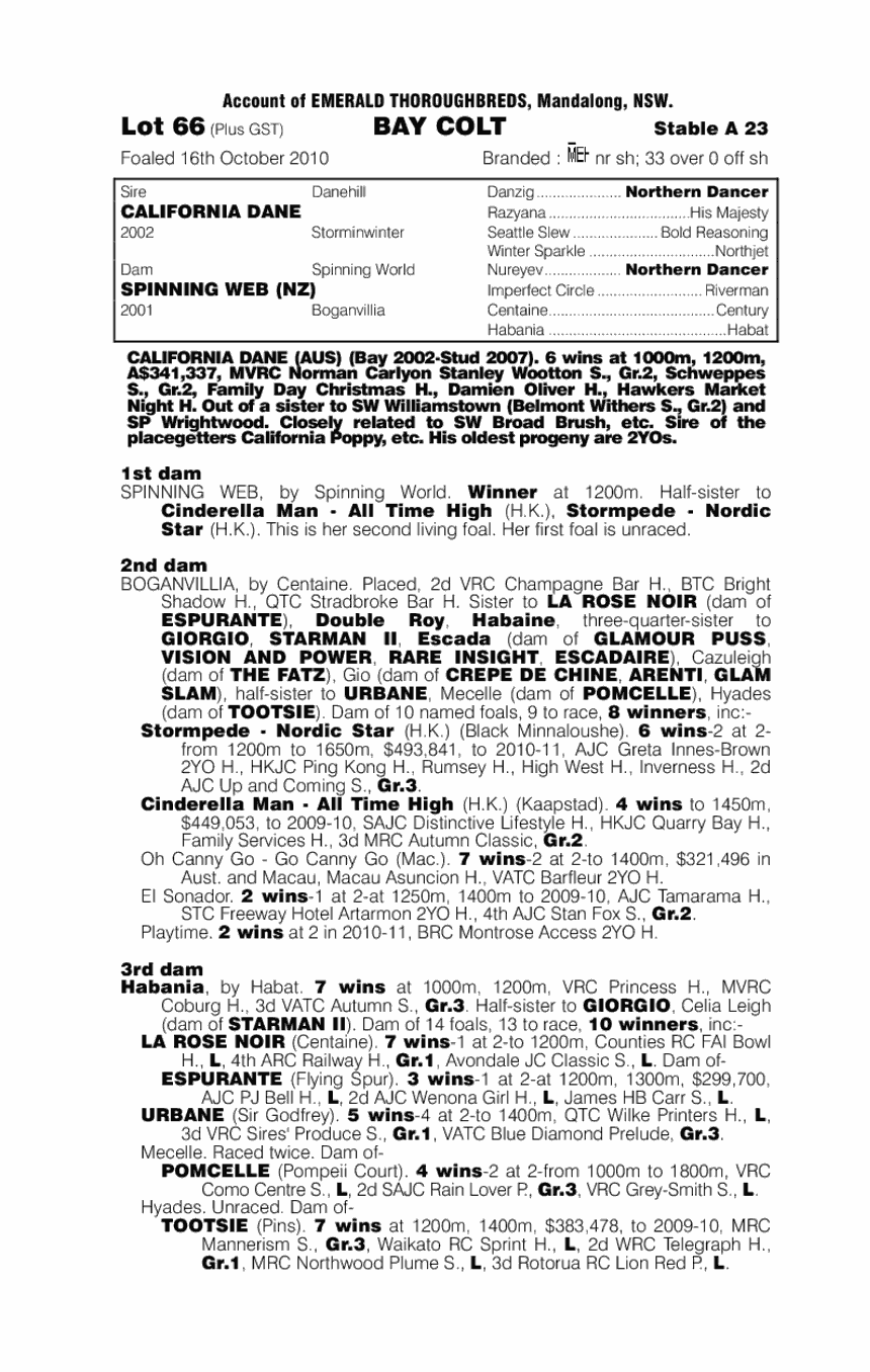 California Dane (AUS) / Spinning Web (NZ) - pedigree