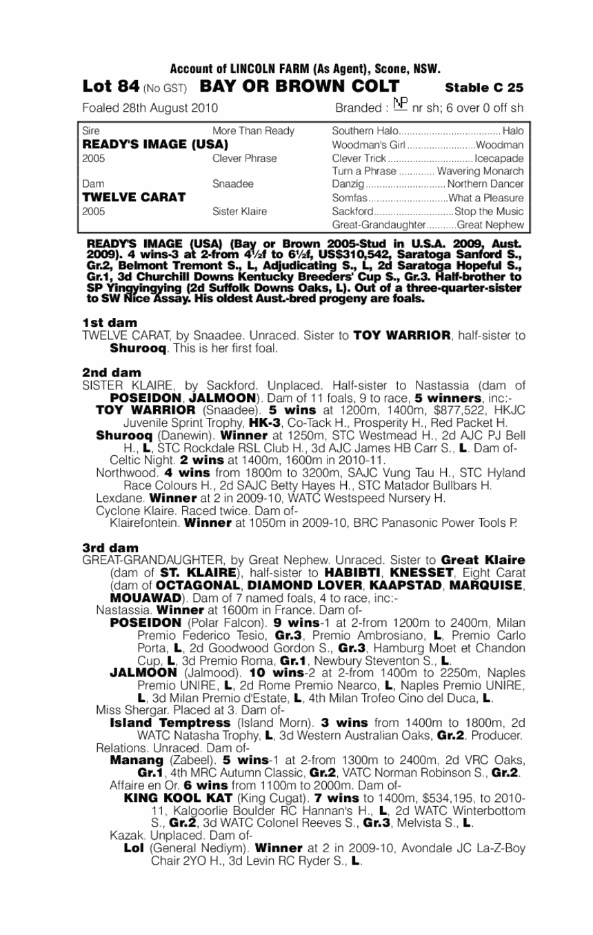 Ready's Image (USA) / Twelve Carat (AUS) - pedigree