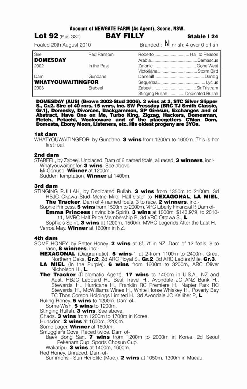 Perfect Pause - pedigree