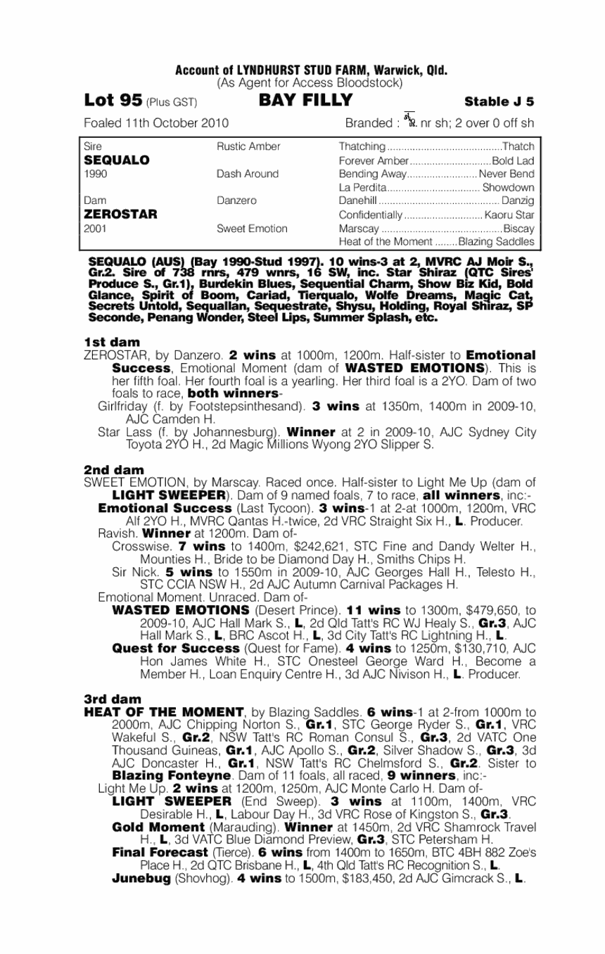 Emotional Move - pedigree