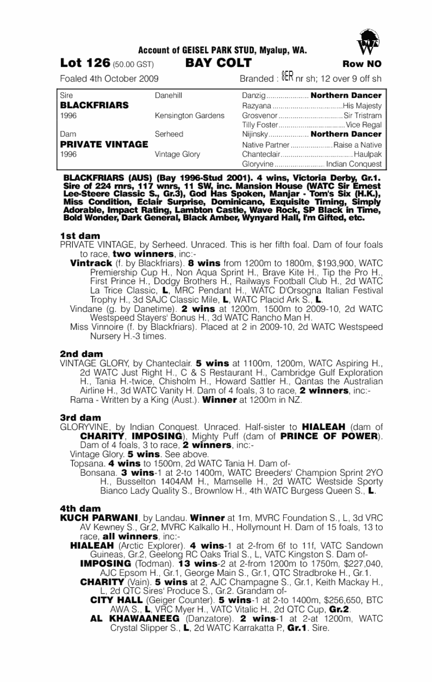 Premium Quality - pedigree