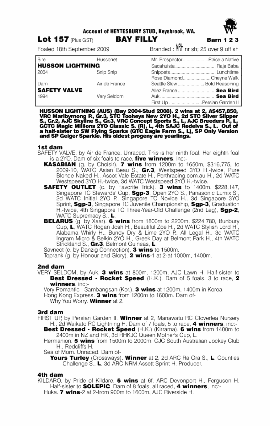 Safety Lights (AUS) - pedigree