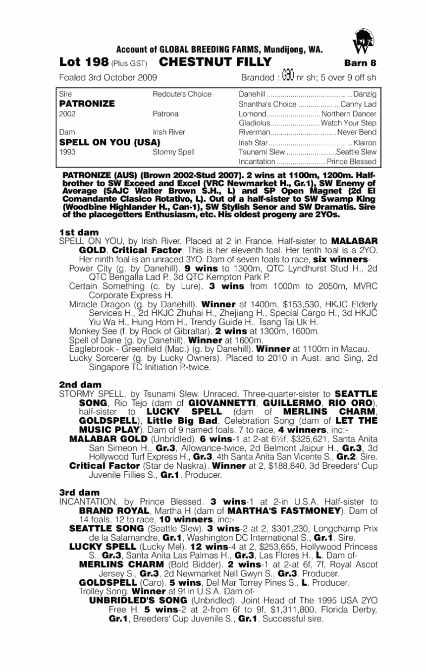 So Naughty So Nice (AUS) - pedigree