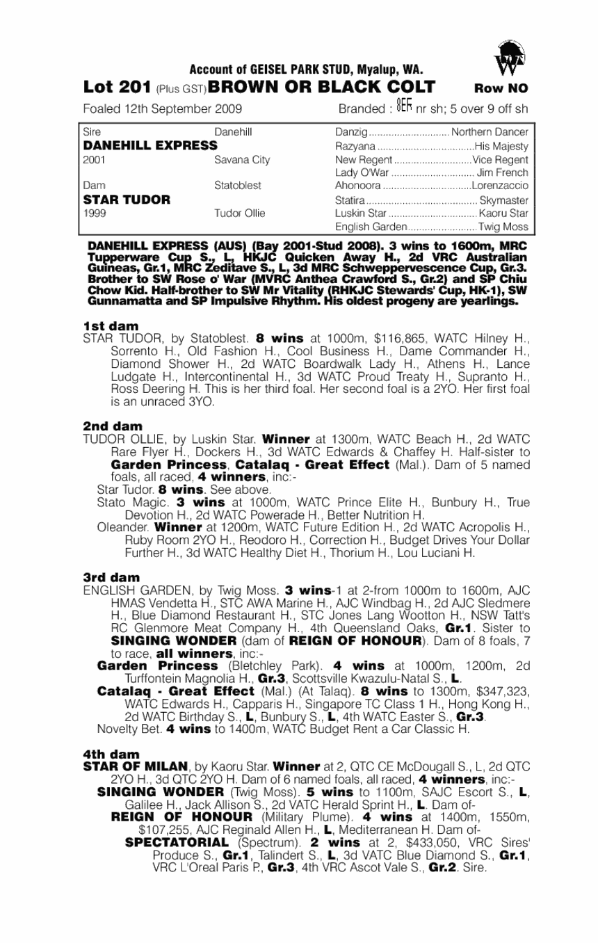 Danehill Express (AUS) / Star Tudor (AUS) - pedigree