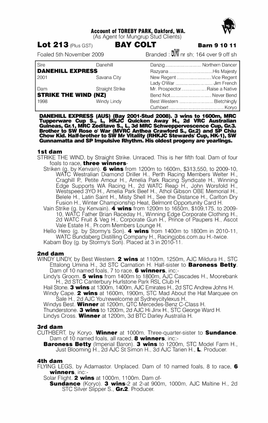 Antoccino - pedigree