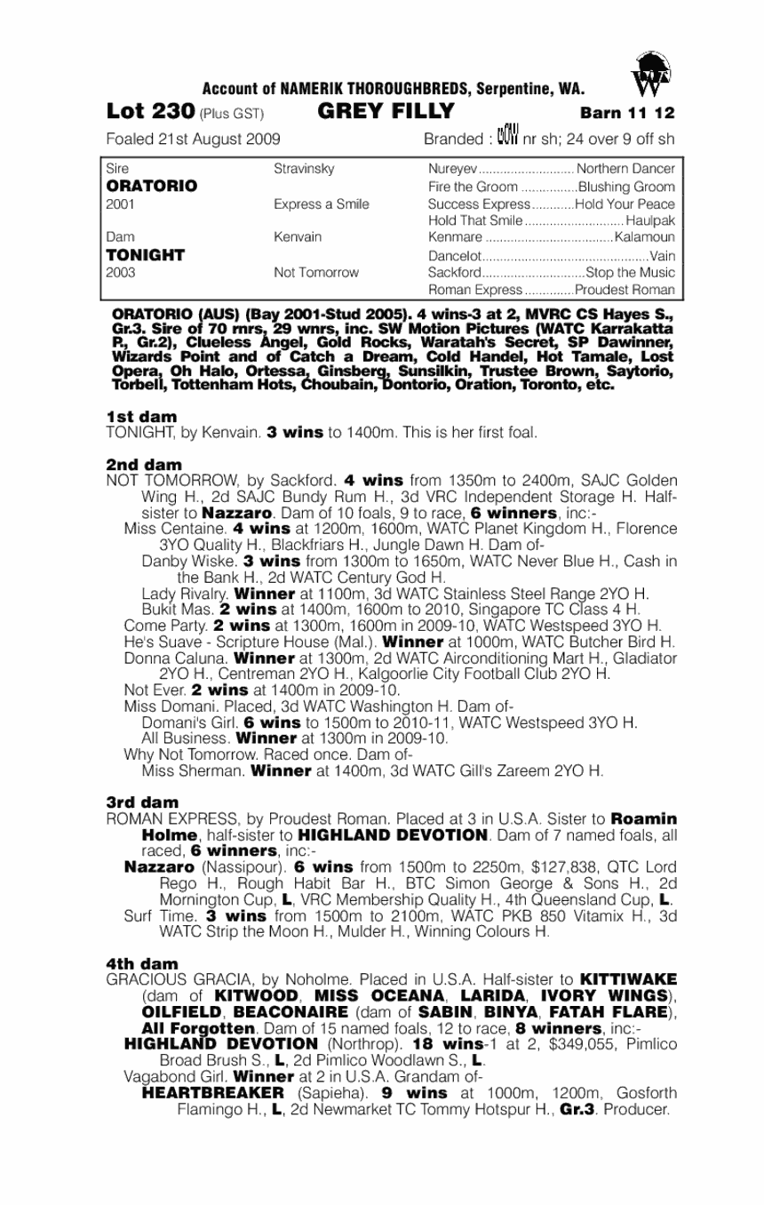 Rio Ivory - pedigree