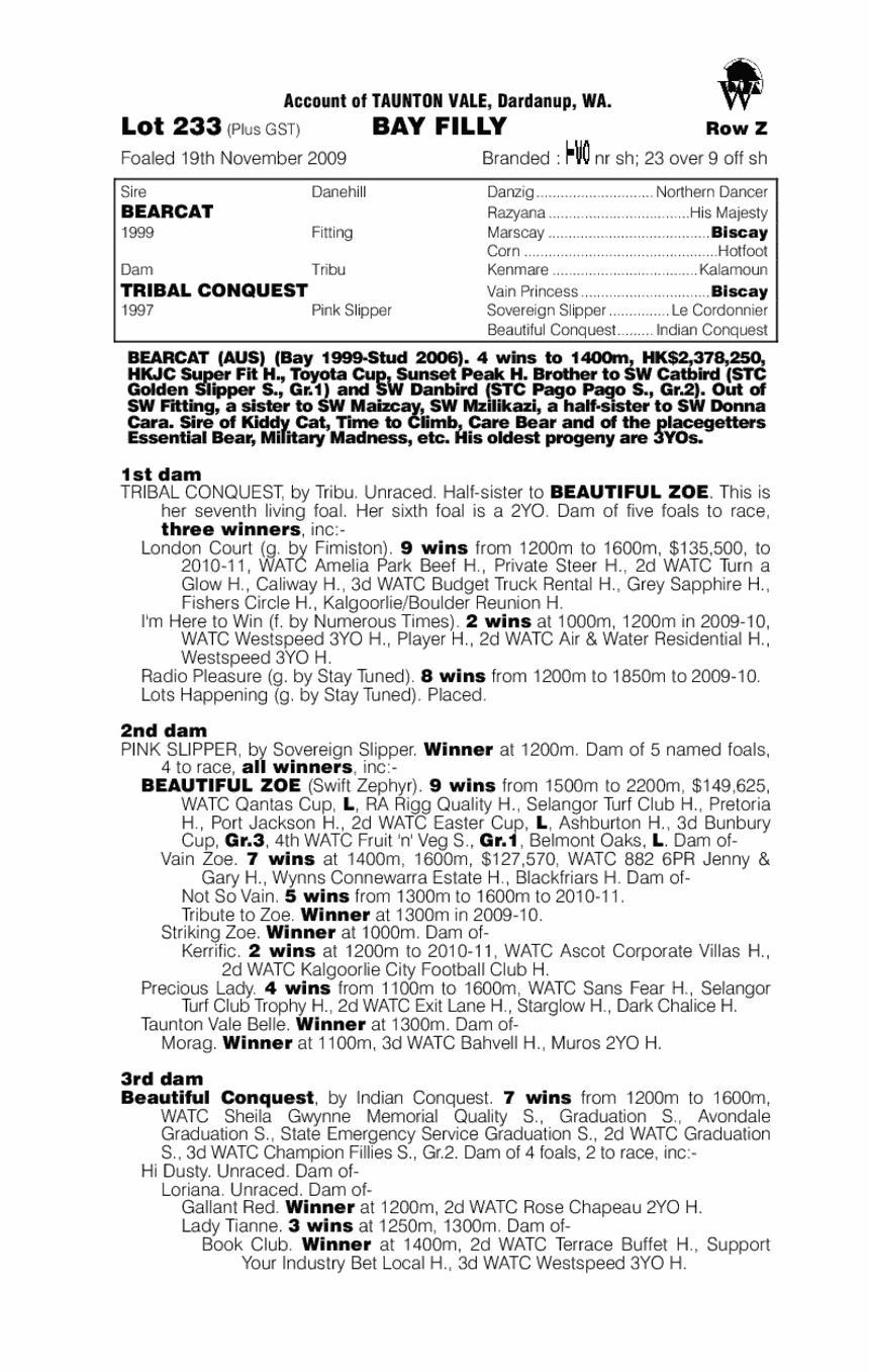 Tribal Cat - pedigree