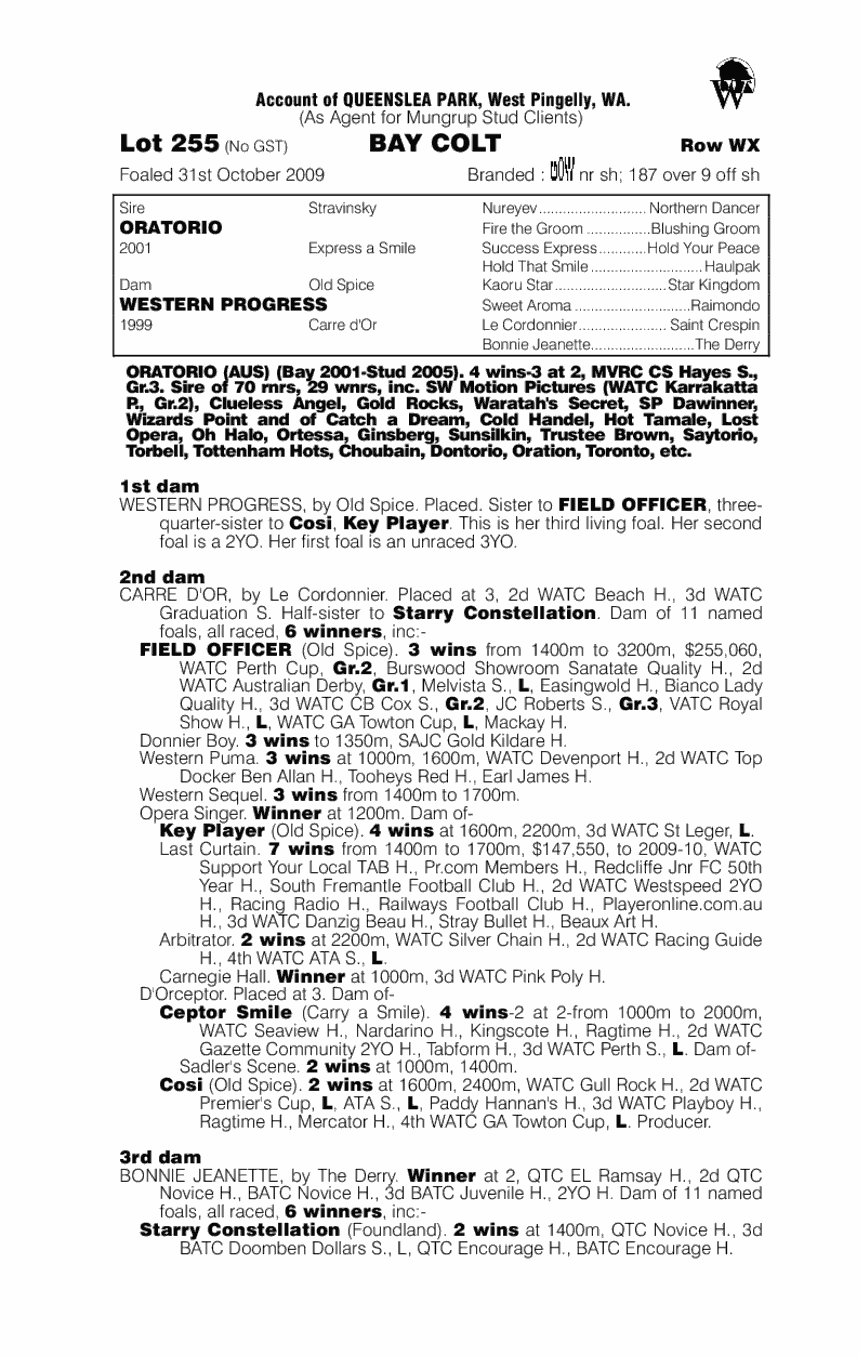 Western Gunna (AUS) - pedigree