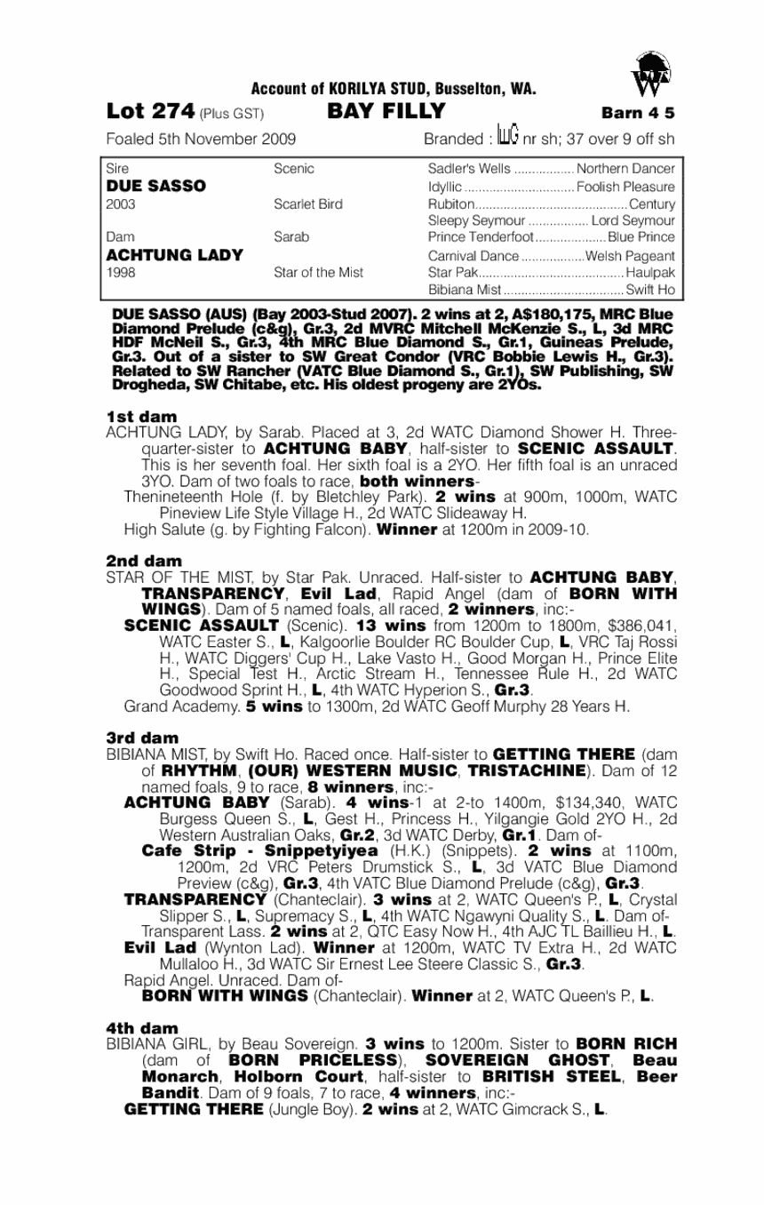 There'snonesosassy (AUS) - pedigree