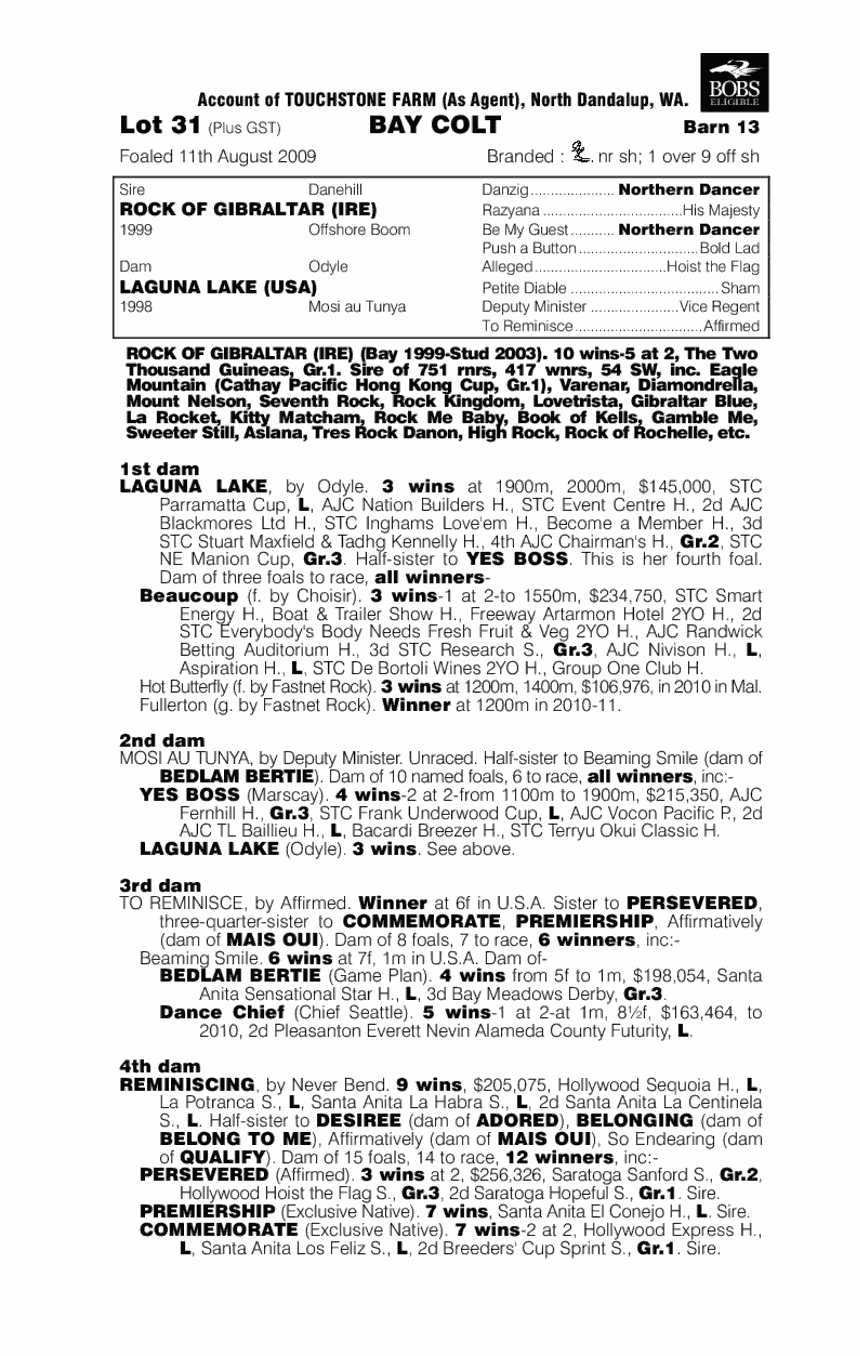 Capolavoro - pedigree