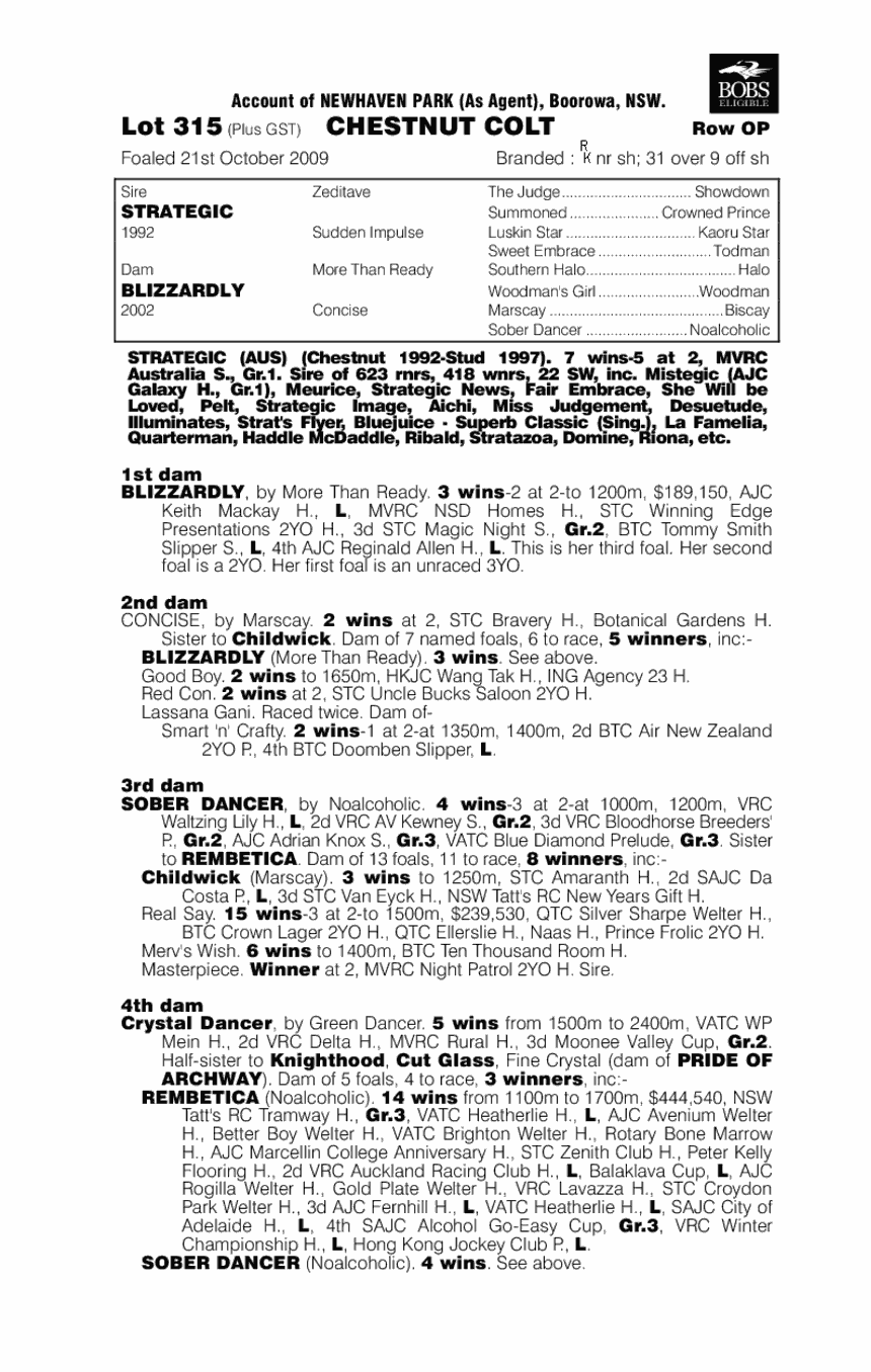 Pure Tactics - pedigree