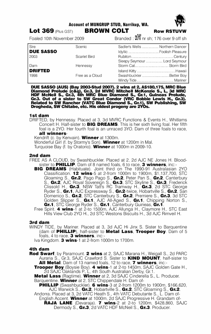 Due Sasso (AUS) / Drifted (AUS) - pedigree