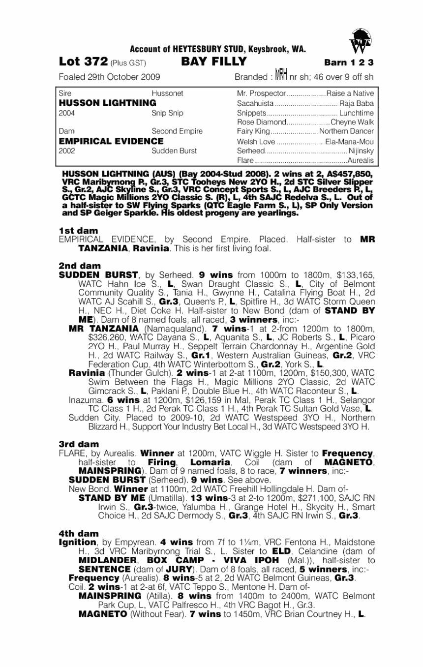 Enough Attitude - pedigree