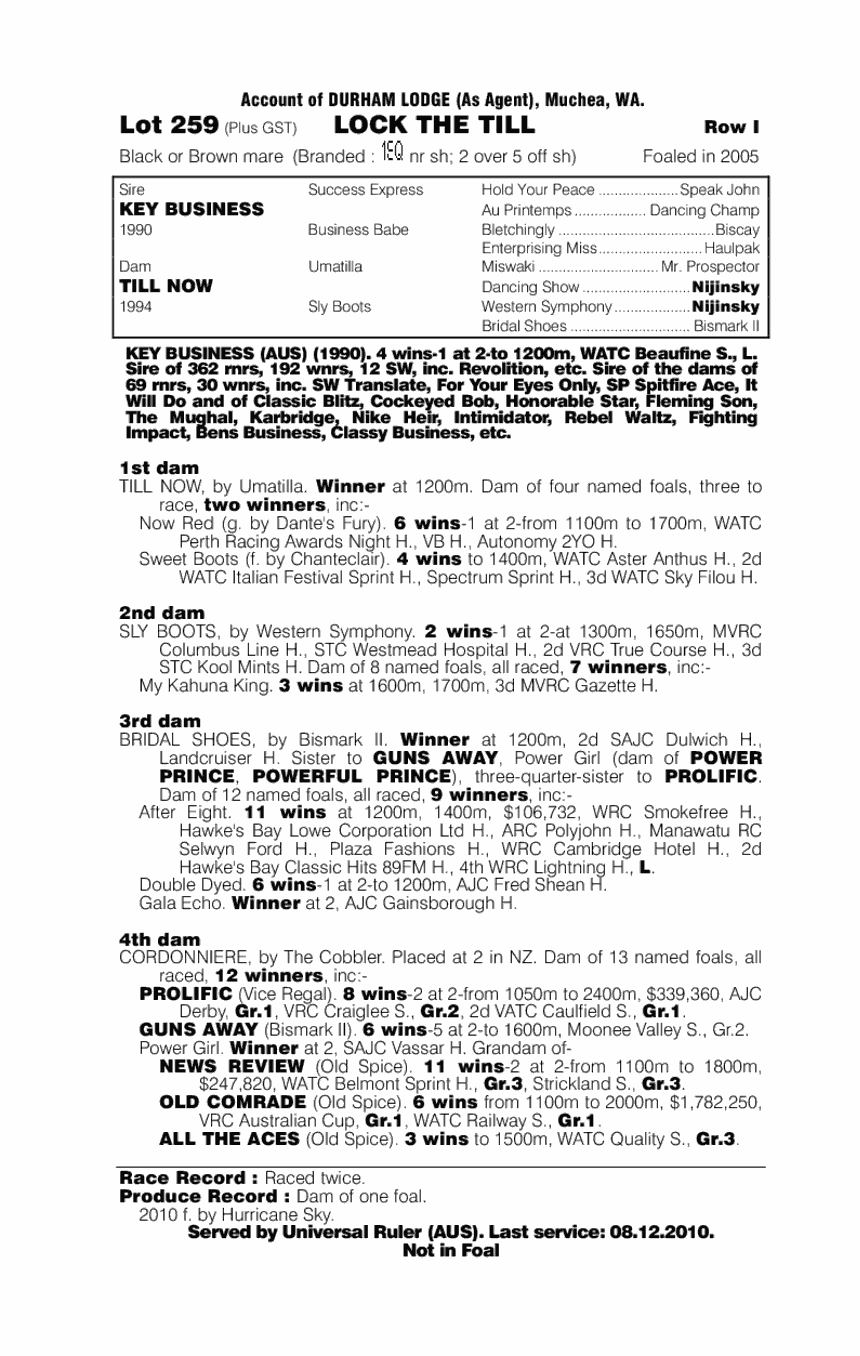 Lock The Till - pedigree