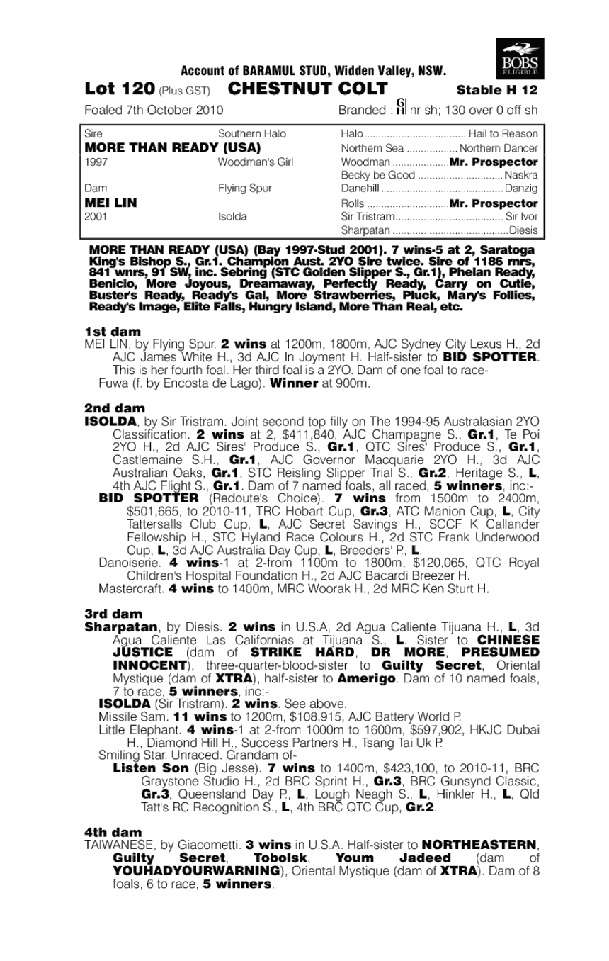 Always Tomorrow - pedigree