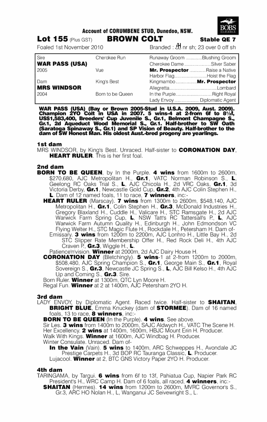 Cherokee Chase - pedigree