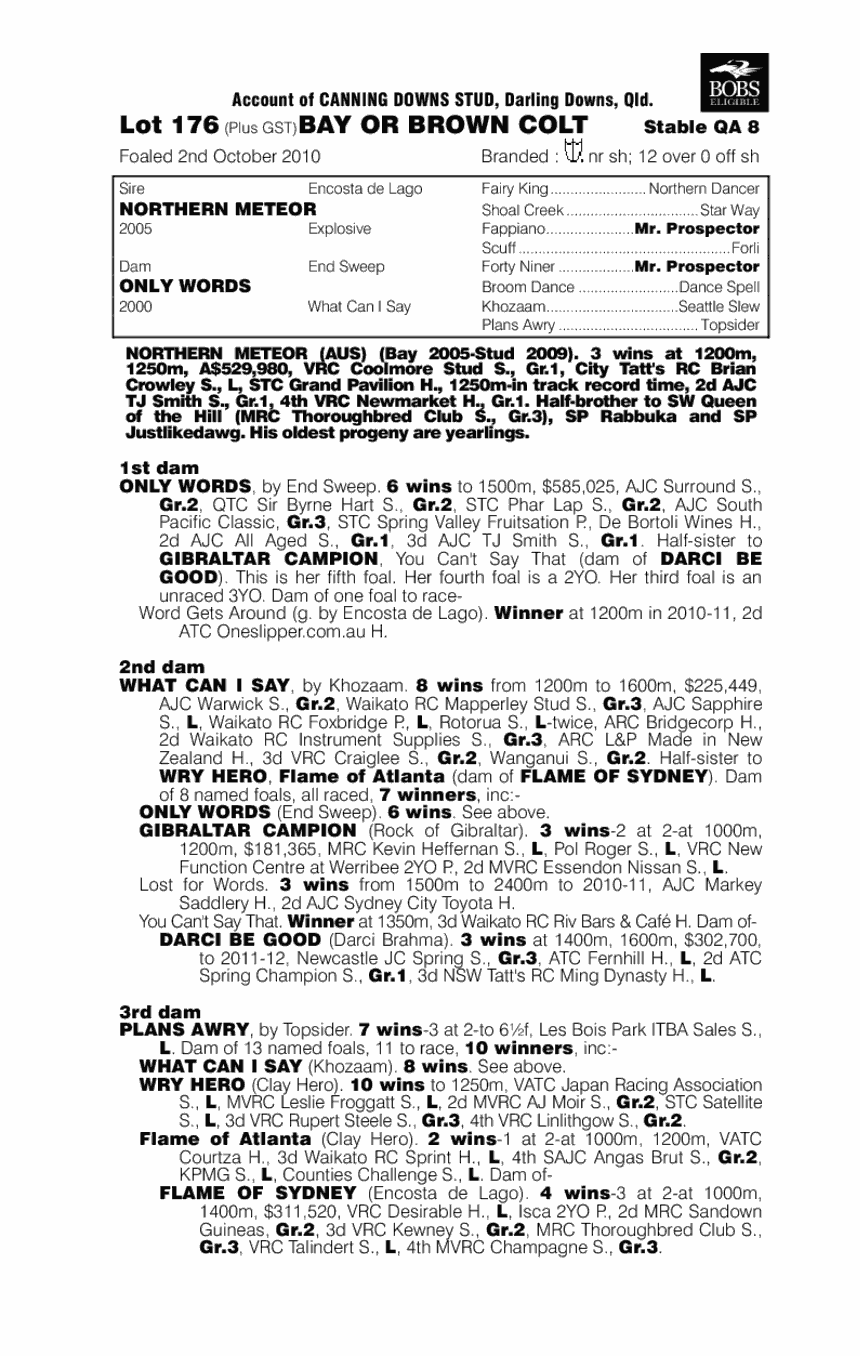 Mr Bee Gee - pedigree