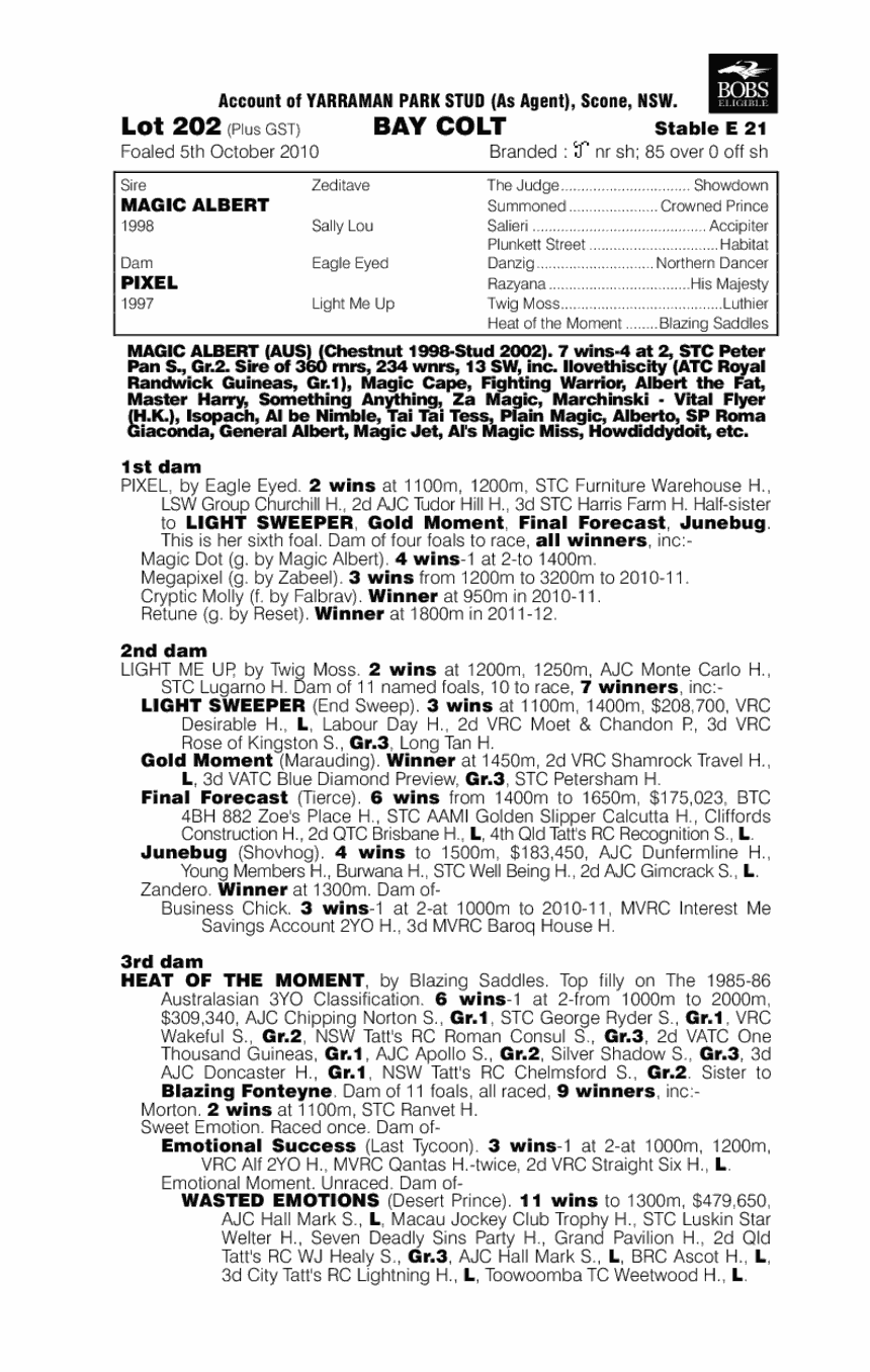 The Conjurer - pedigree