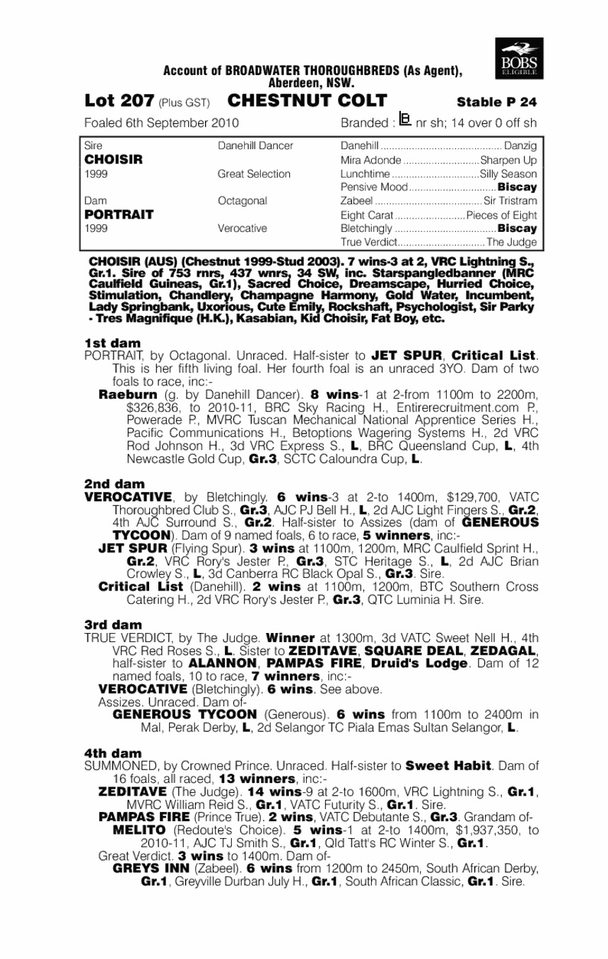 Amiconi Originale - pedigree