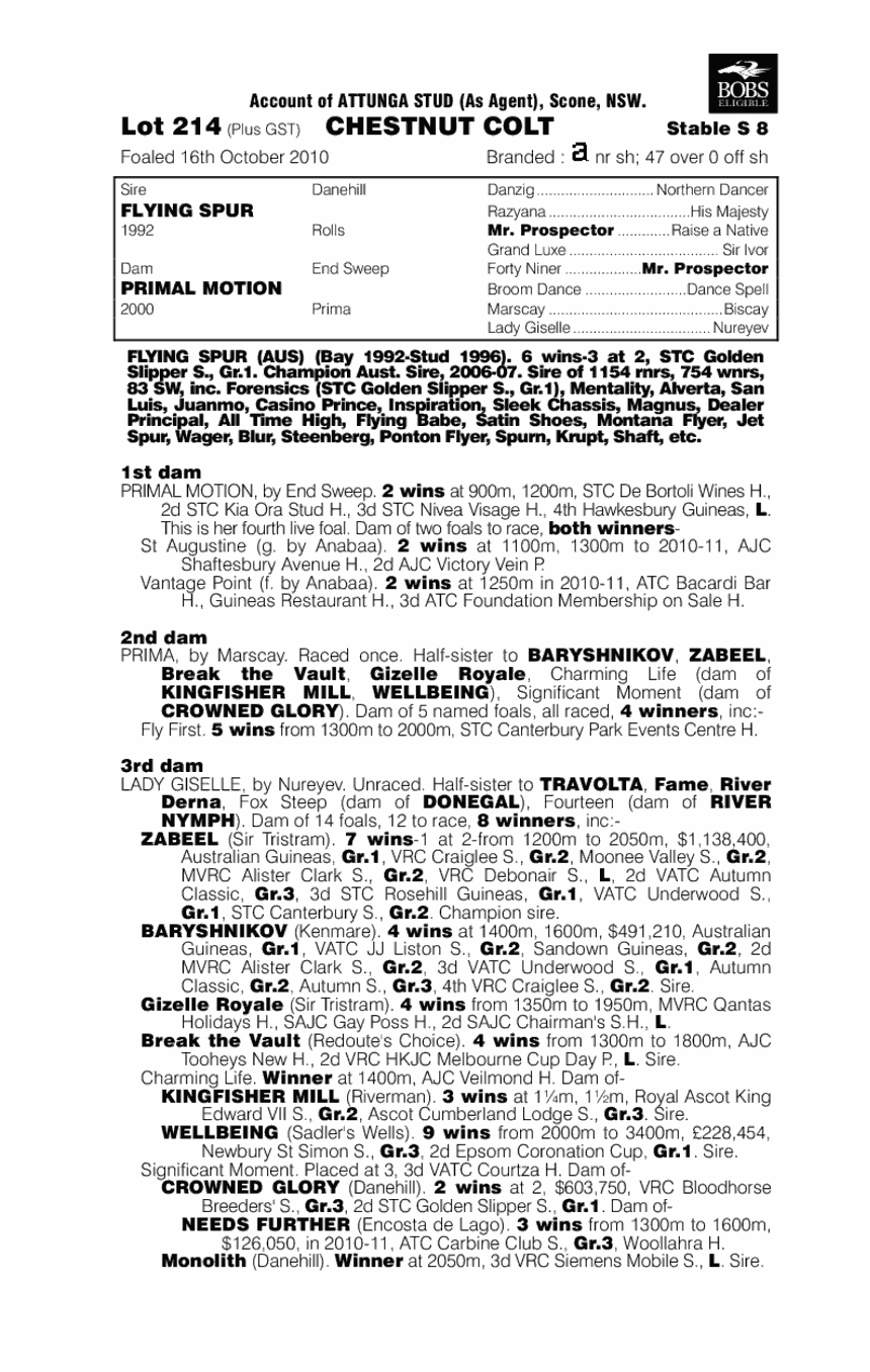 Primal Flight - pedigree