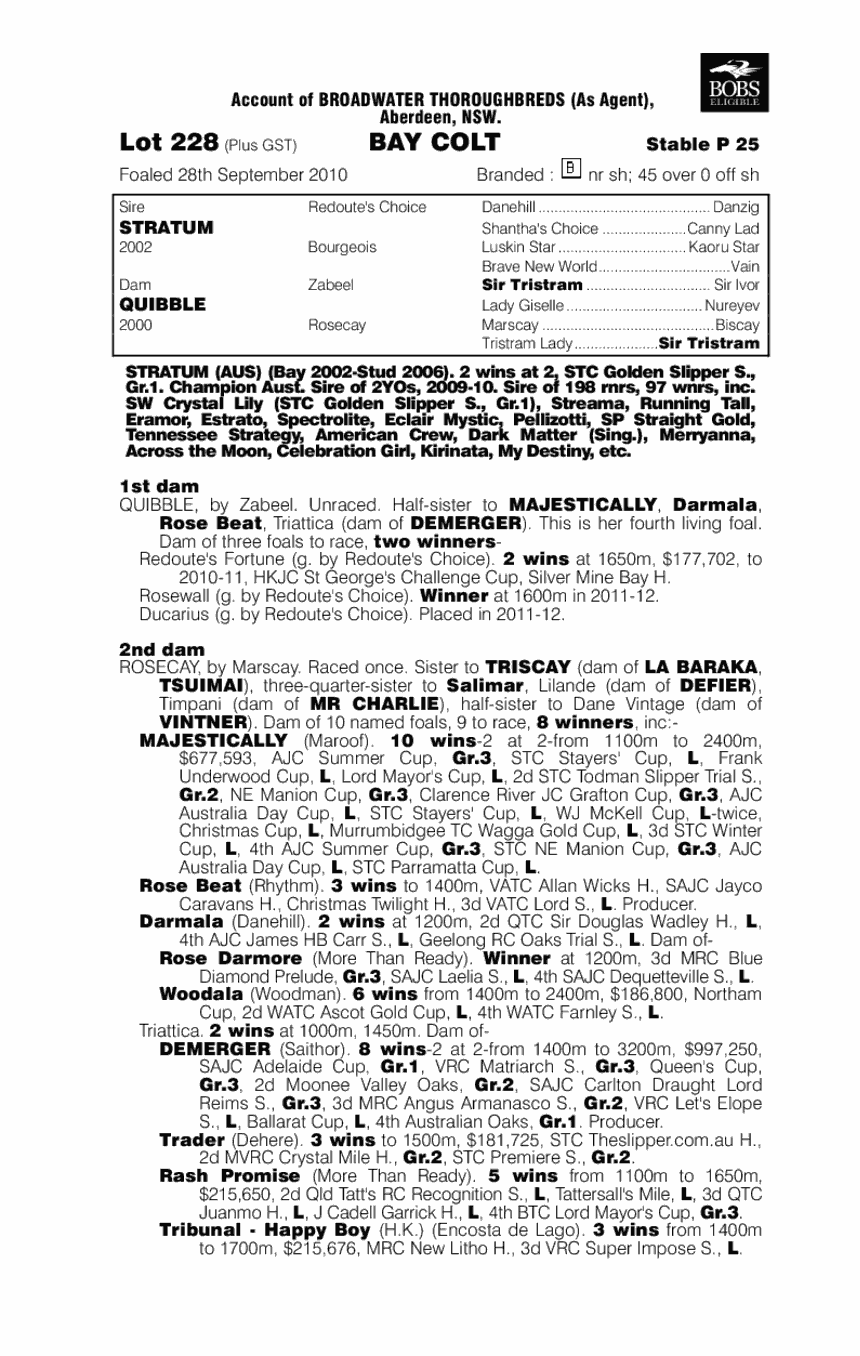 Stratum (AUS) / Quibble (AUS) - pedigree