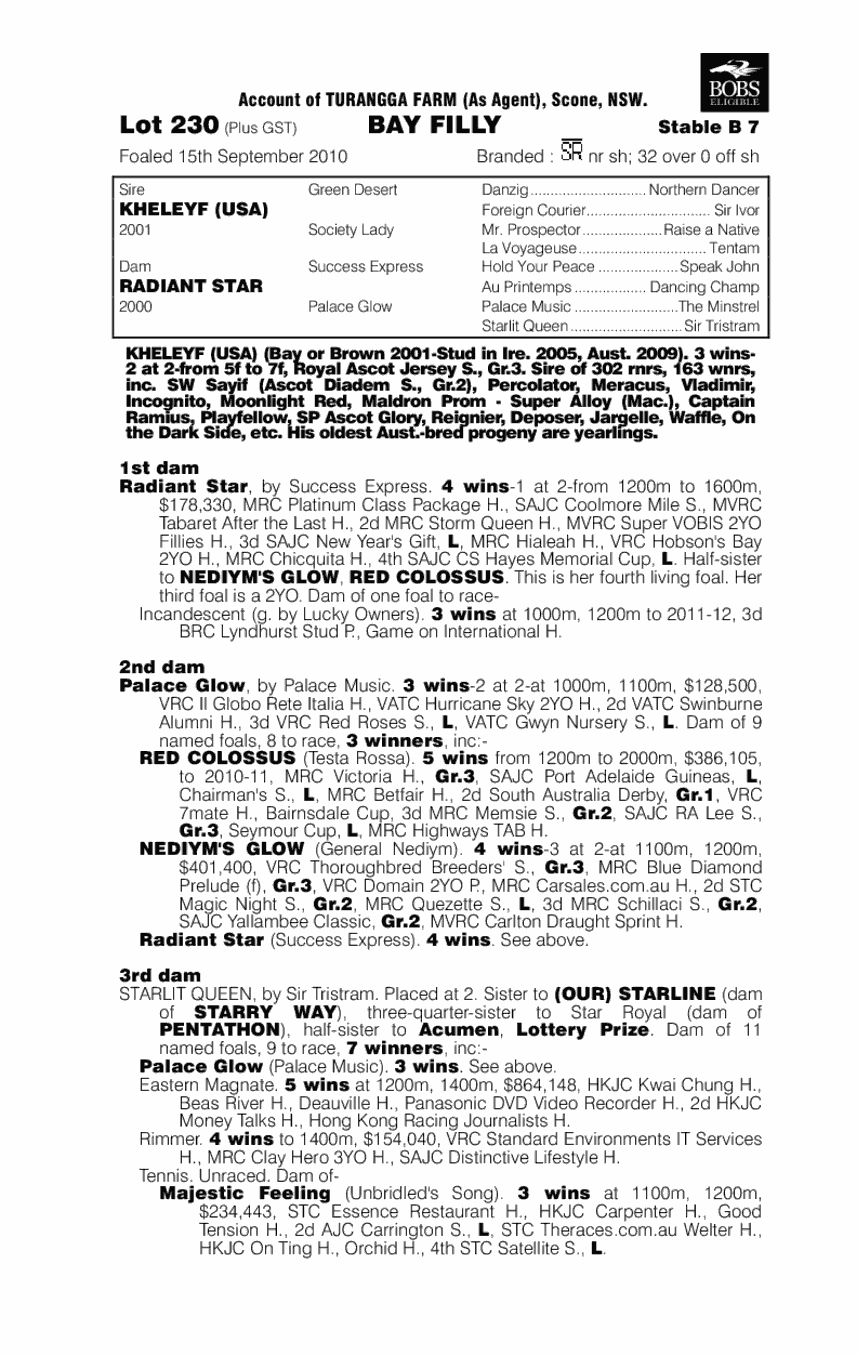 Radiant Angel (AUS) - pedigree