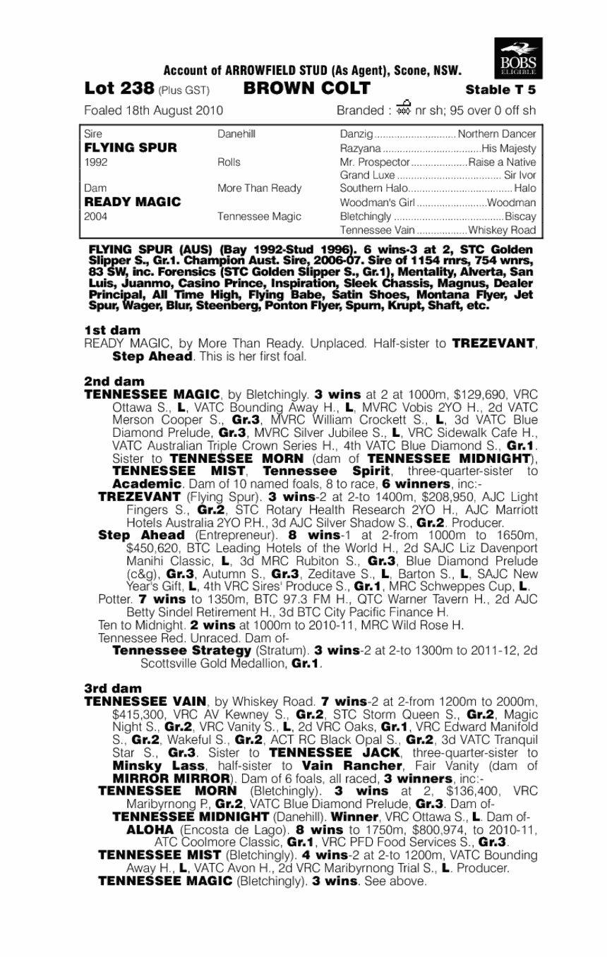 Rockford (AUS) - pedigree