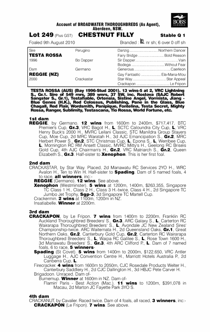 Pindan Pearl (AUS) - pedigree