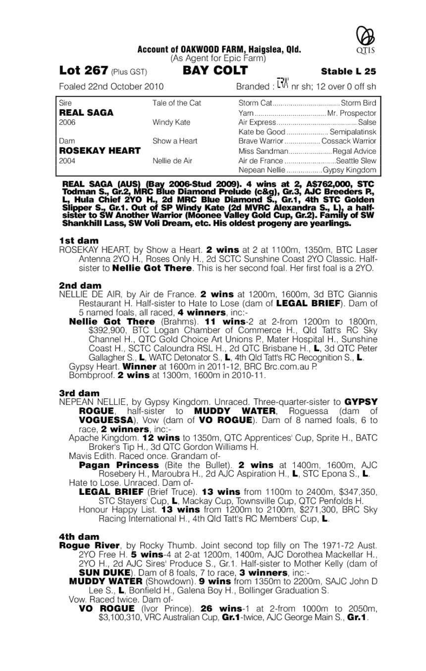 Forty Nil Manly (AUS) - pedigree