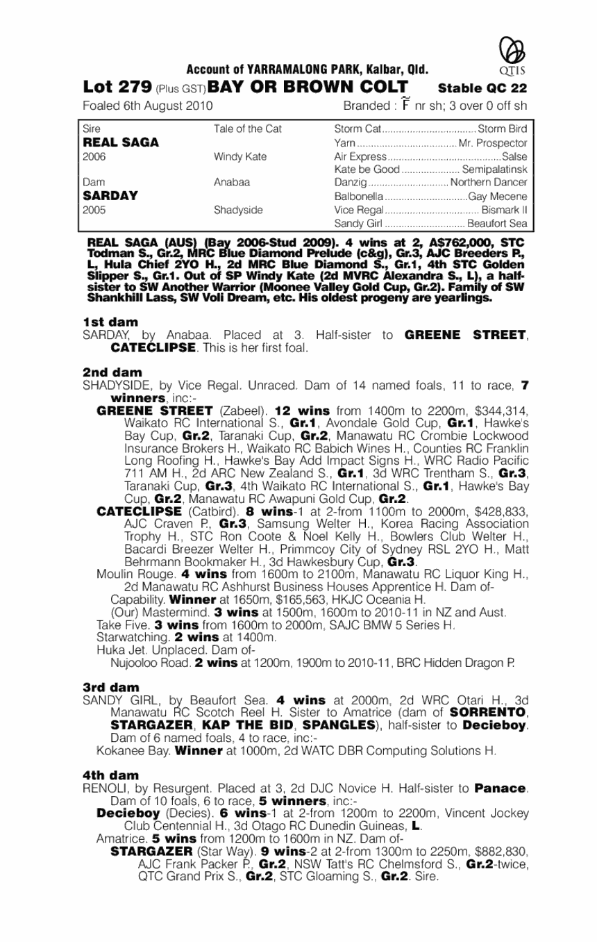 Solo Saga - pedigree