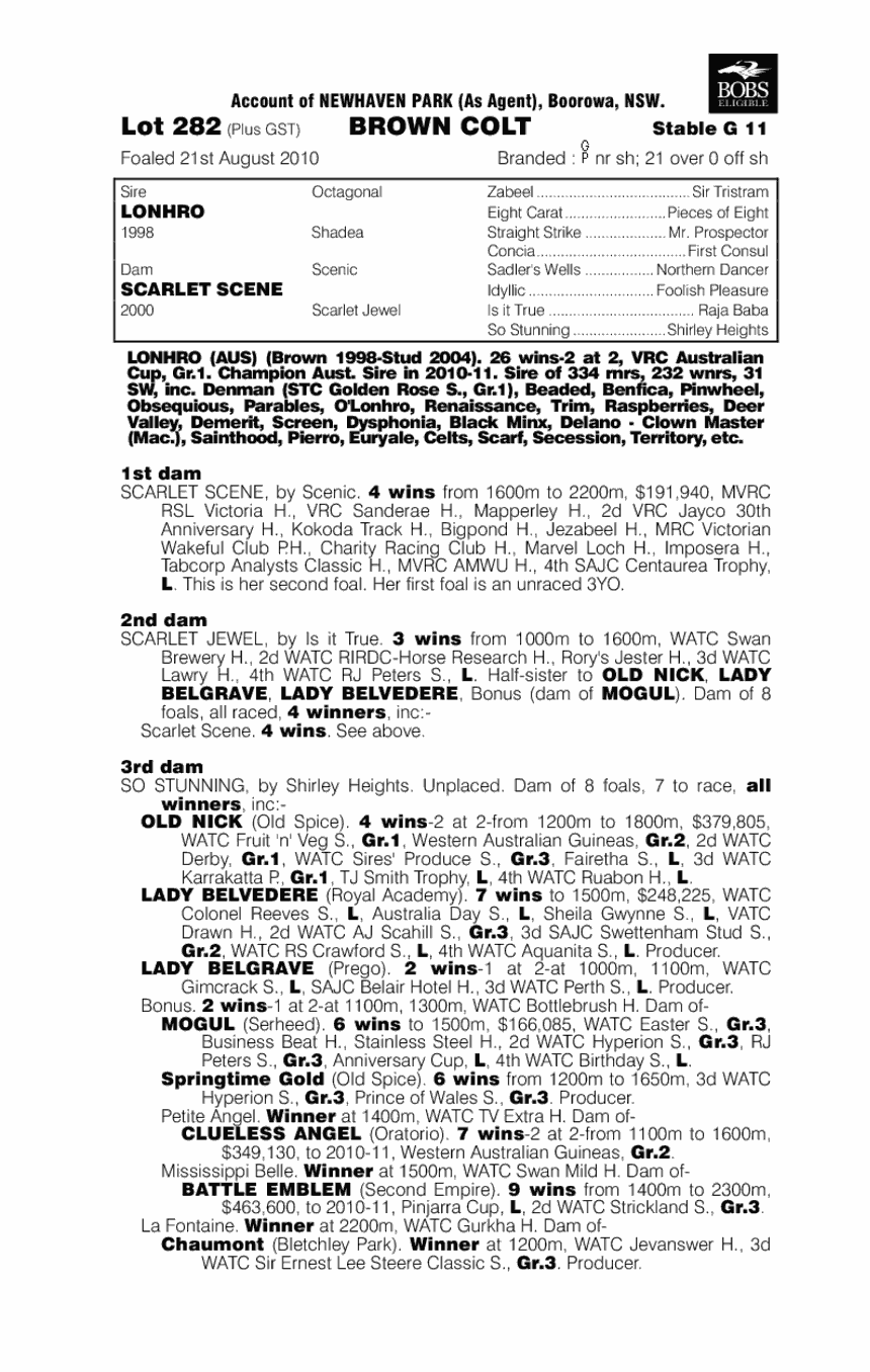 Red Sapphire (AUS) - pedigree