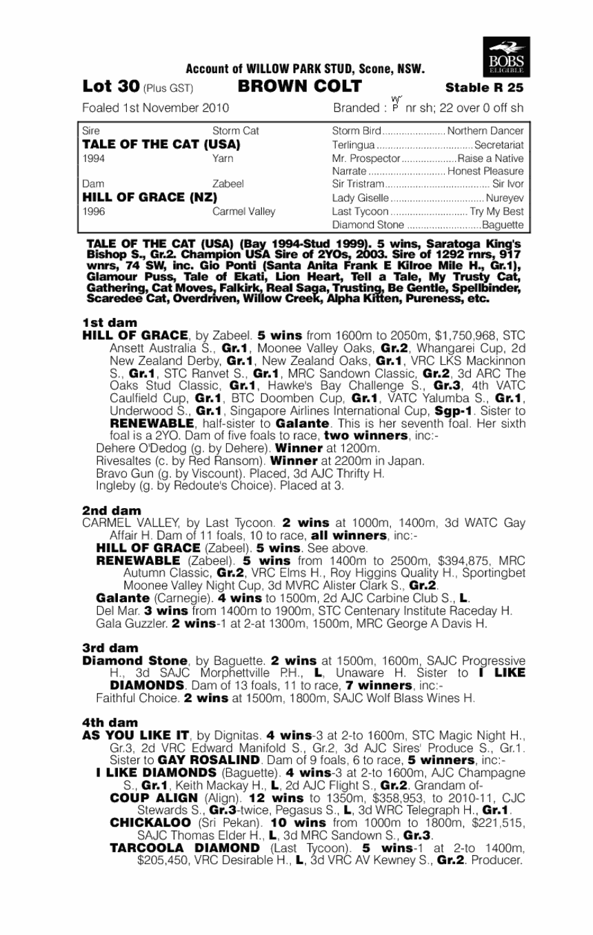 Desk Pop (AUS) - pedigree