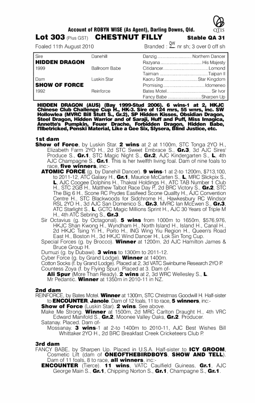 Hidden Attraction (AUS) - pedigree