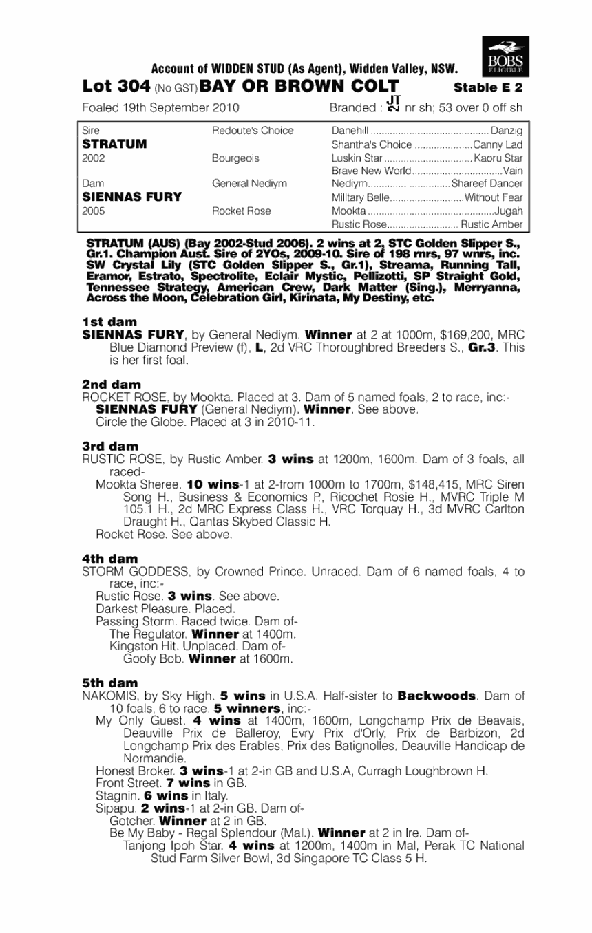 Salute To Jude - pedigree