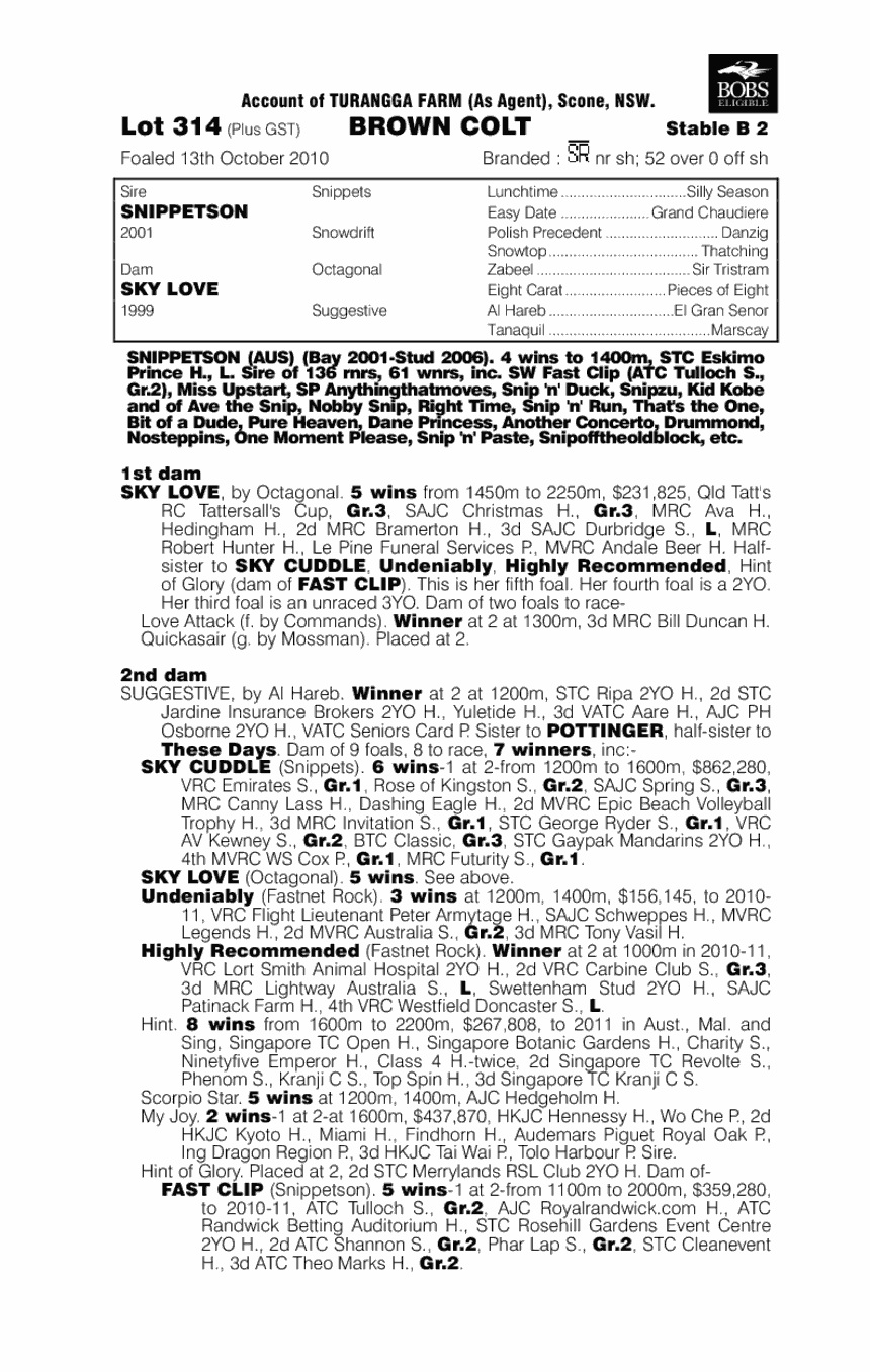 Sky Clip (AUS) - pedigree