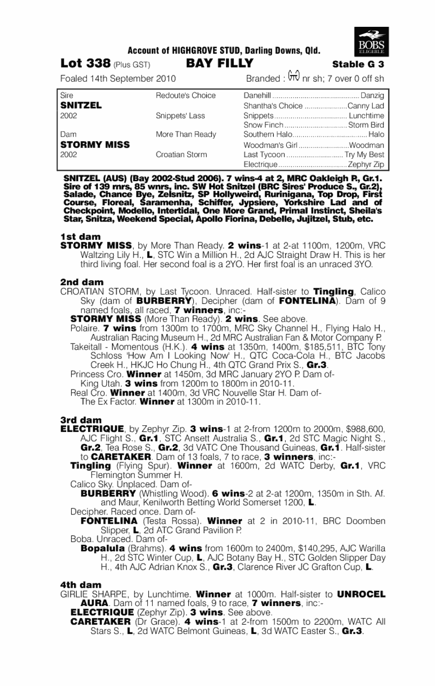 Tornado Miss - pedigree