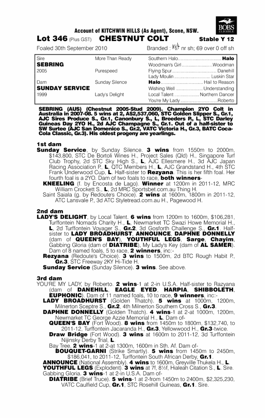 Adivino (AUS) - pedigree