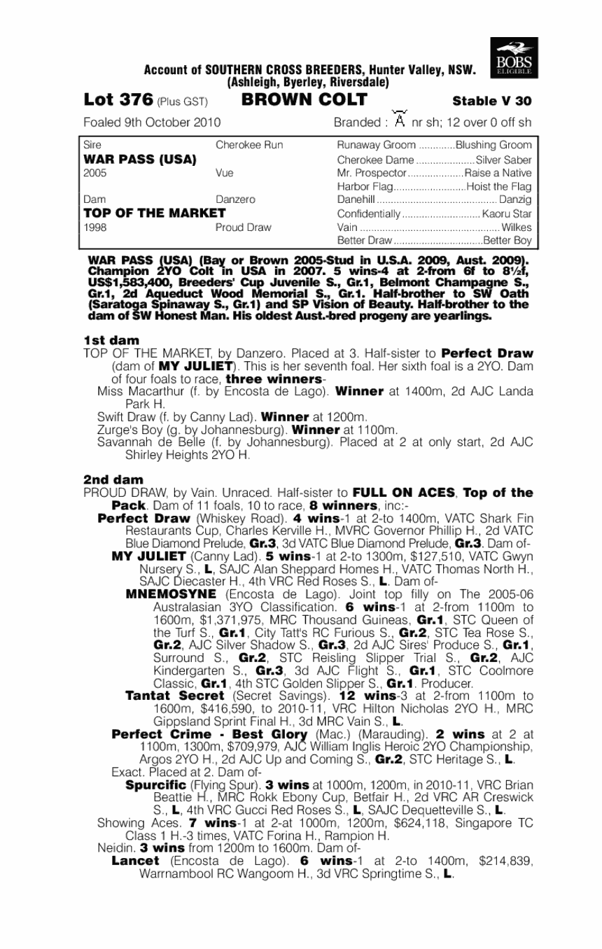 War Heights - pedigree