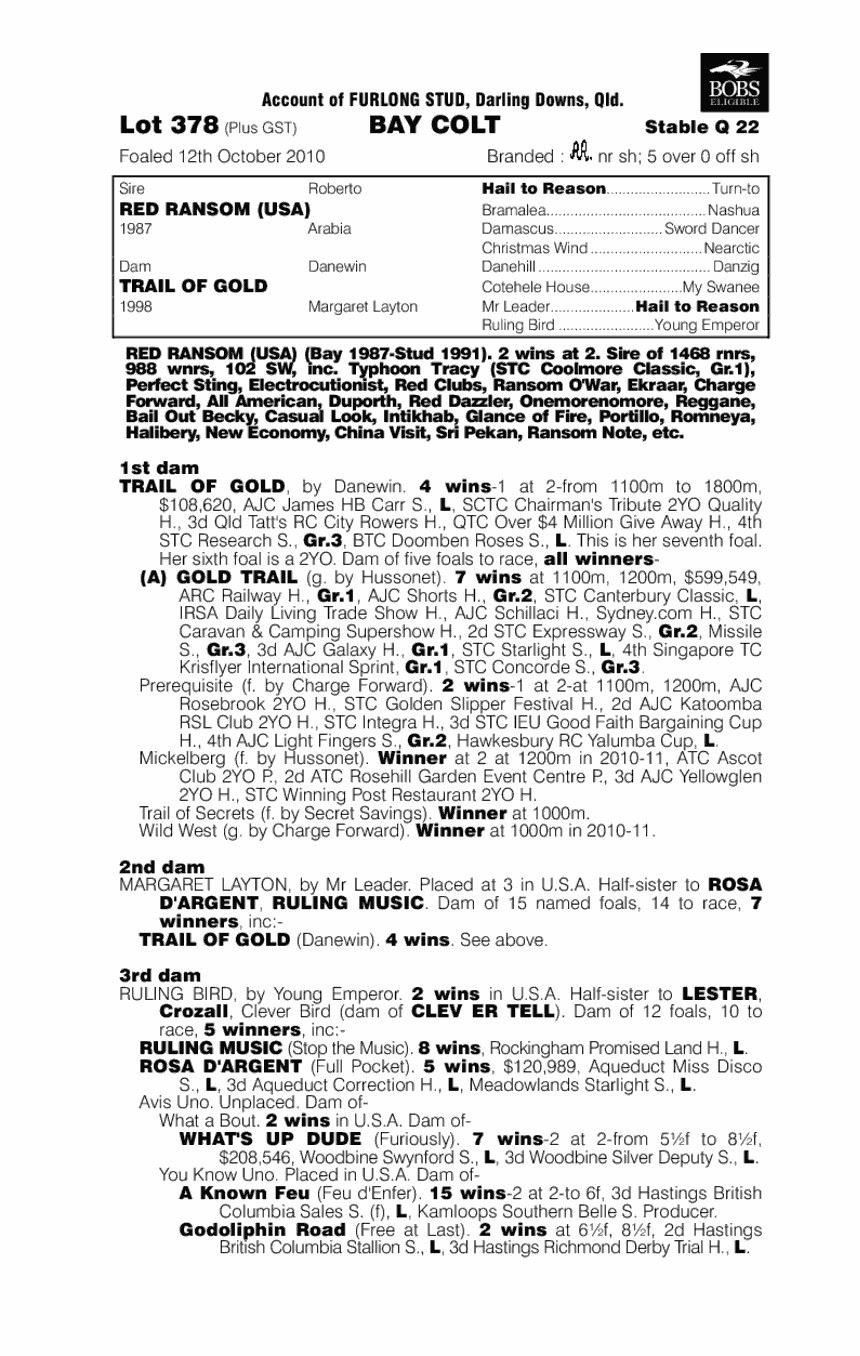 A Money Trail - pedigree