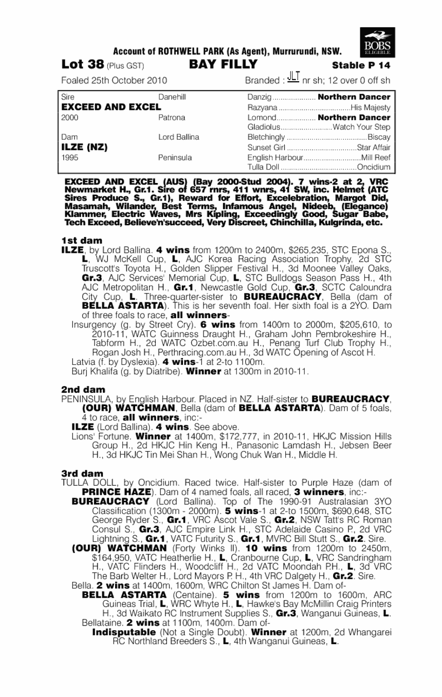 Karma Kandara - pedigree