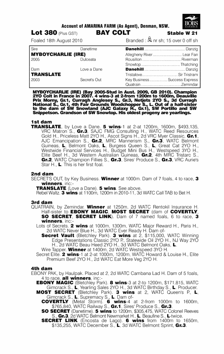 Myboycharlie (IRE) / Translate (AUS) - pedigree