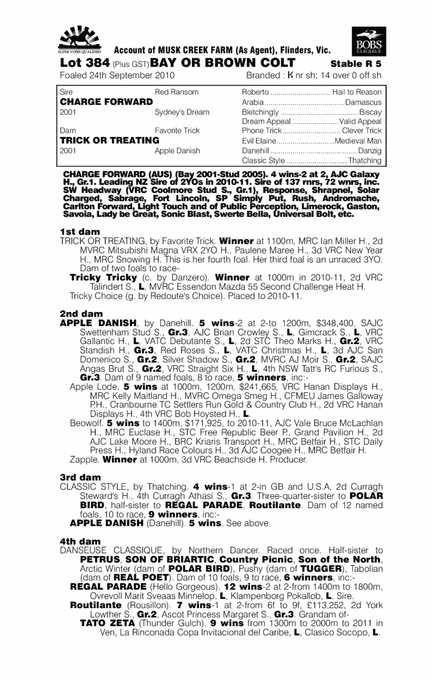 Charge Forward (AUS) / Trick Or Treating (AUS) - pedigree