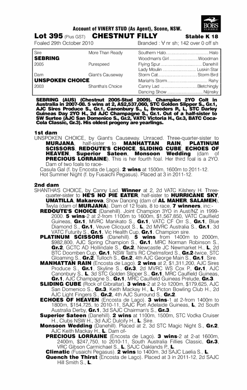 Noela's Choice - pedigree