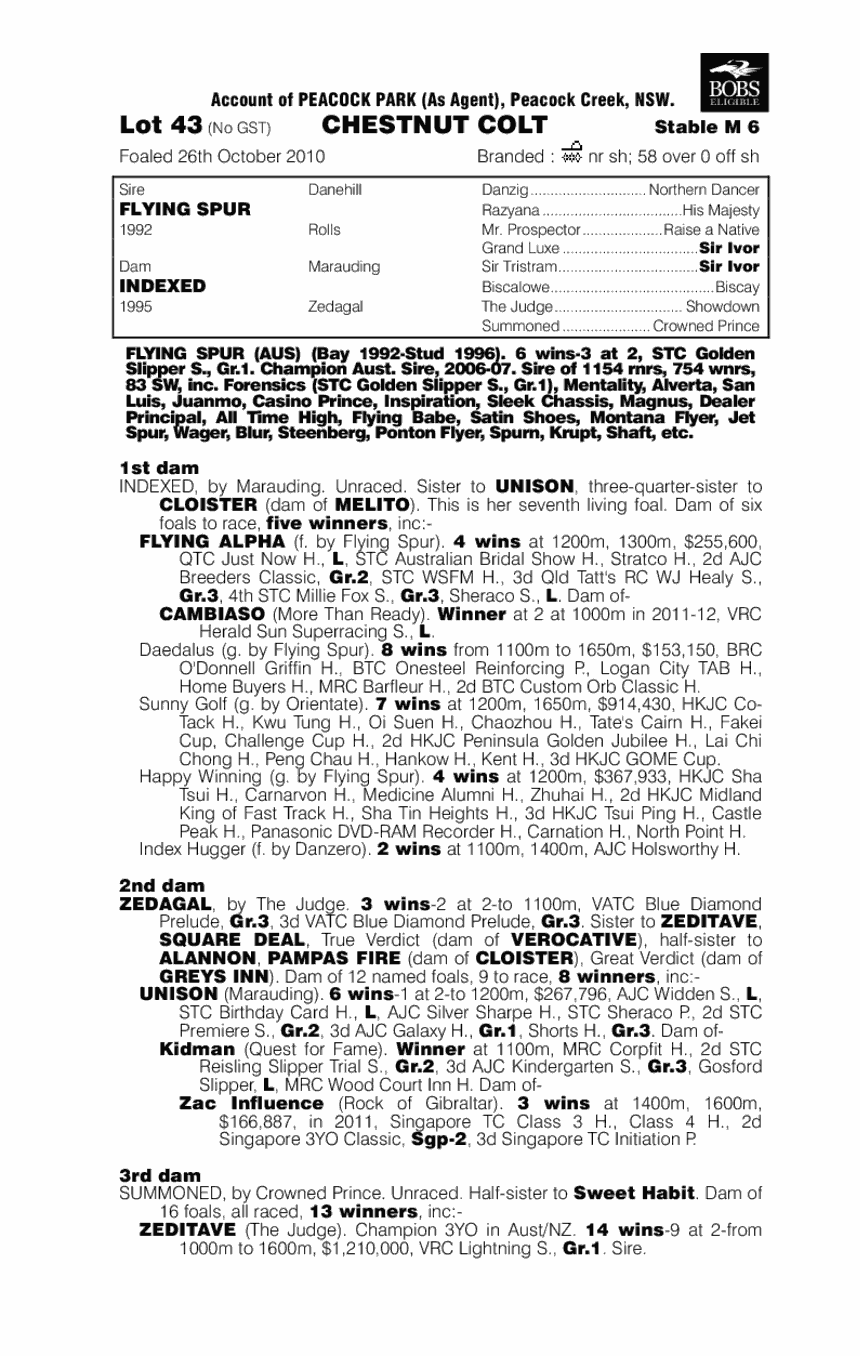 Flying Mamuza - pedigree