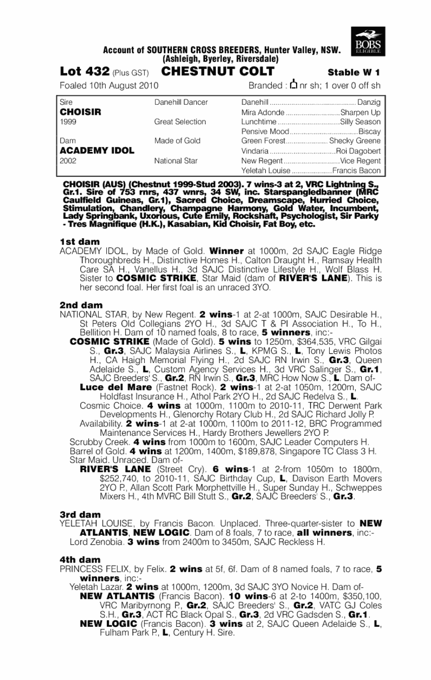 Chosen Idol - pedigree