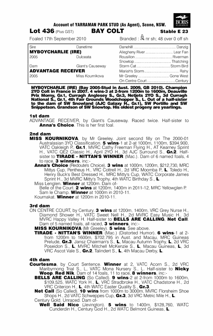 Will Of Steel - pedigree