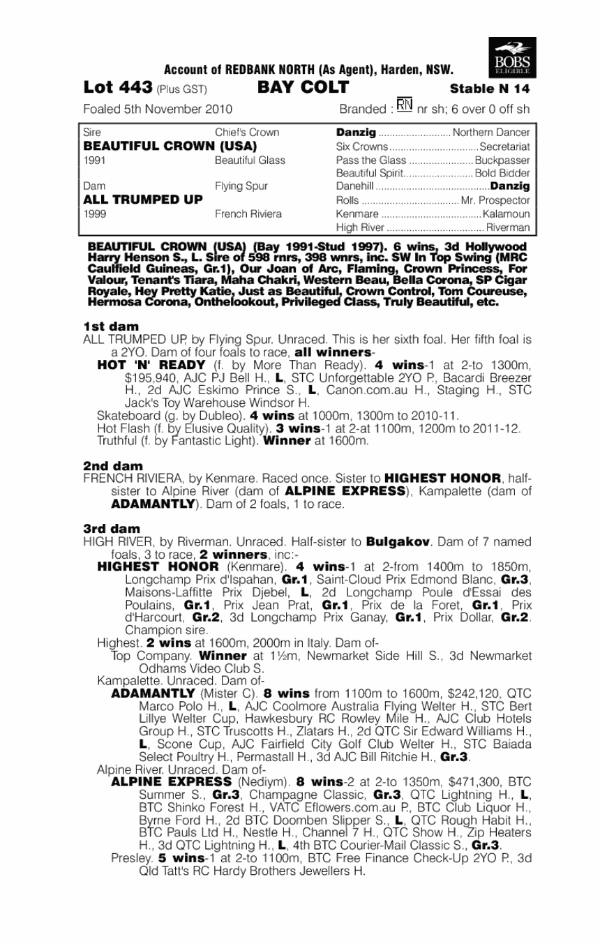 Euchre King (AUS) - pedigree