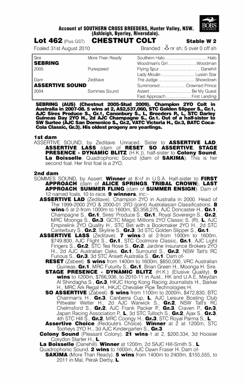 Assertive Union - pedigree